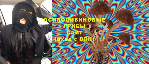 хмурый Алексеевка