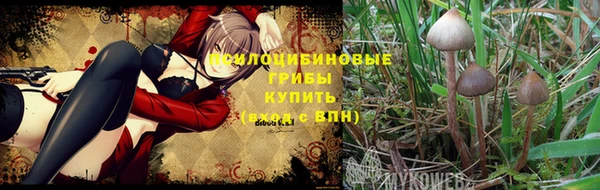 каннабис Алексин