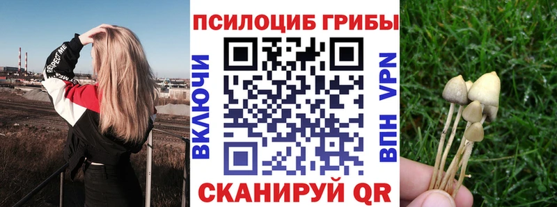 купить   Щигры  Галлюциногенные грибы MAGIC MUSHROOMS 